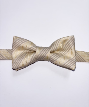 Nœud papillon Alfred Margaux redesign